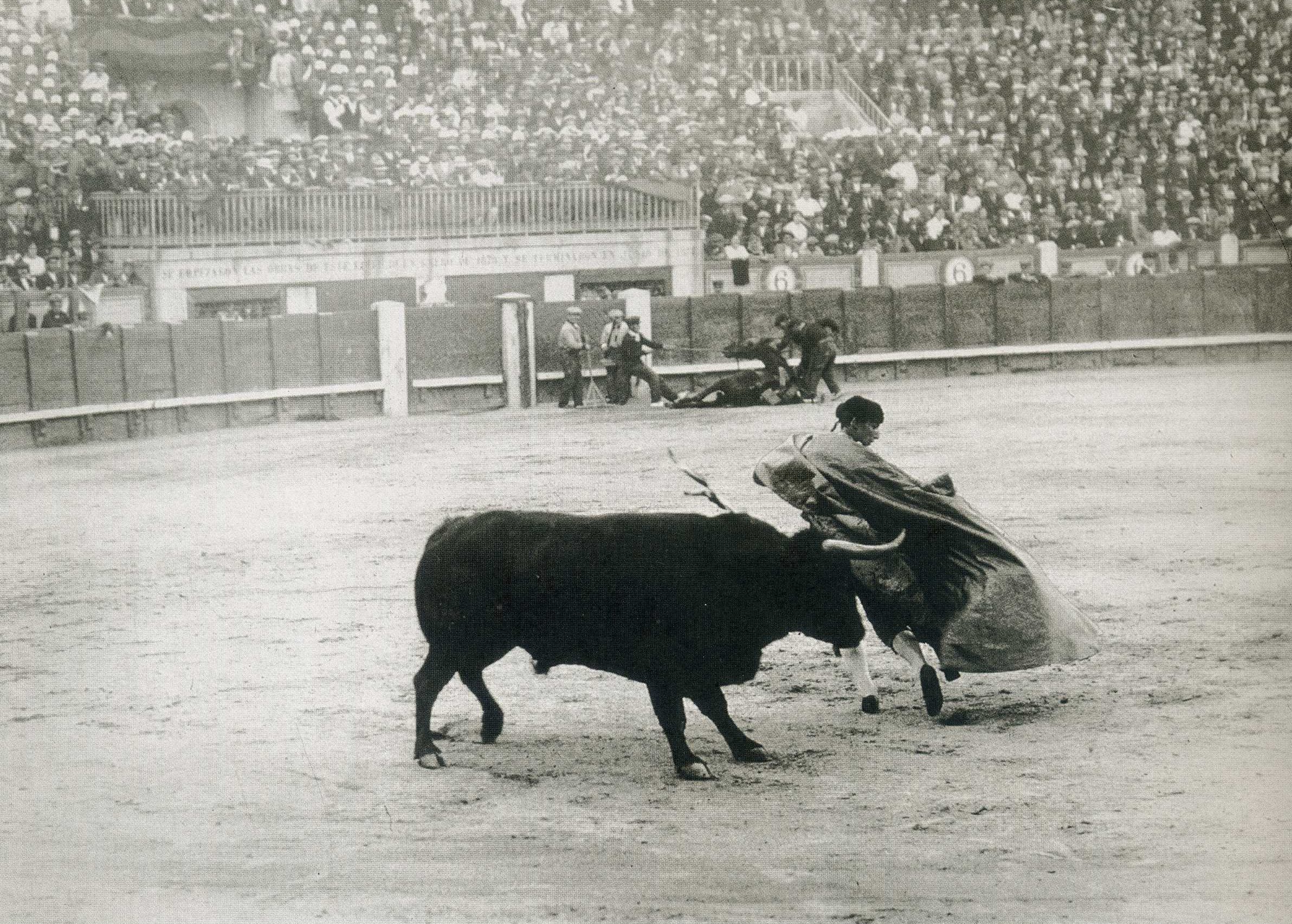 Galleos