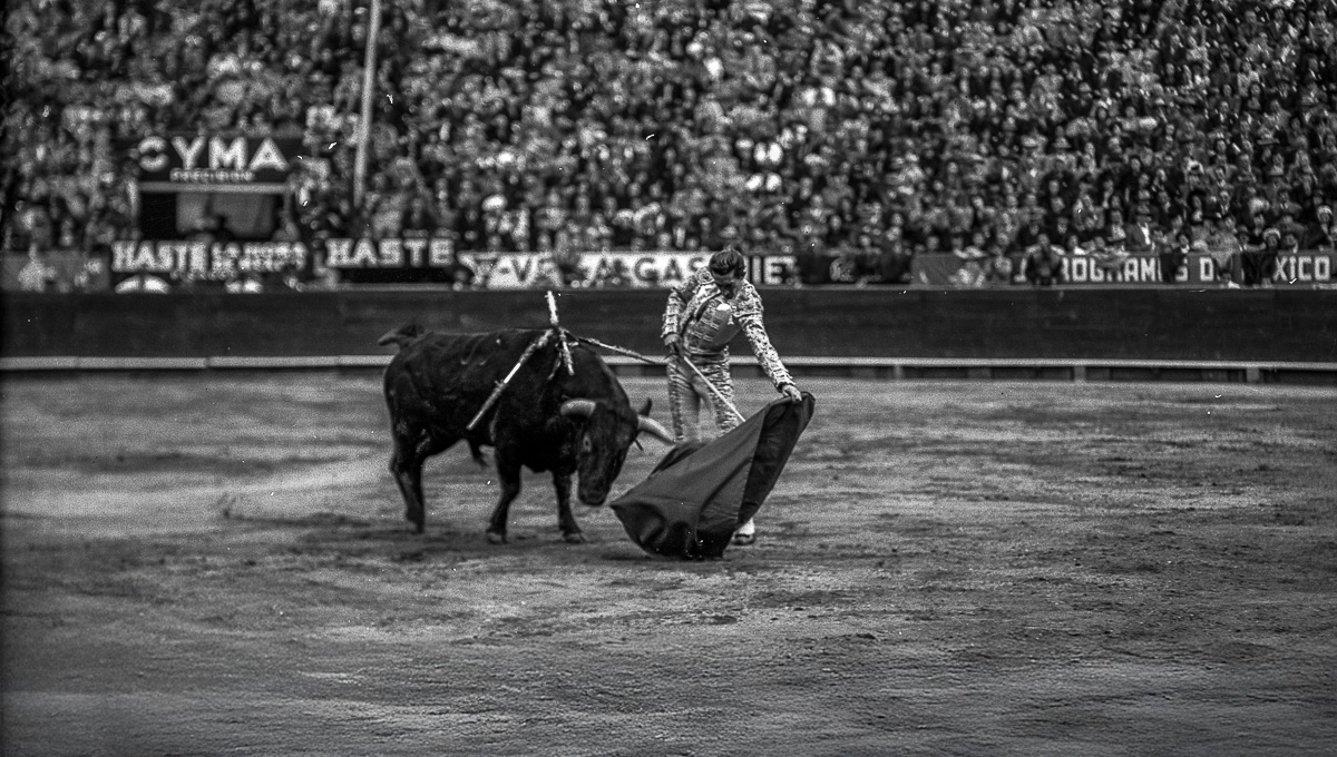 Manolete visto por Rodolfo Gaona